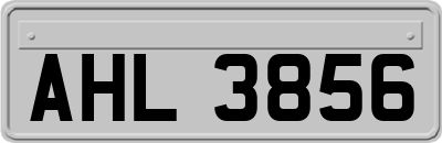 AHL3856