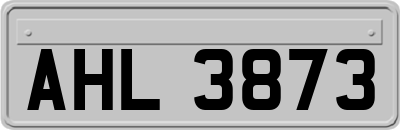 AHL3873