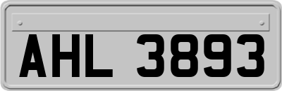 AHL3893