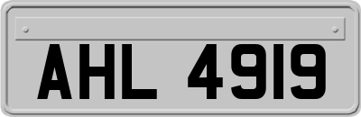AHL4919
