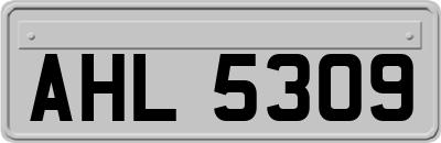 AHL5309