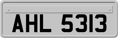 AHL5313