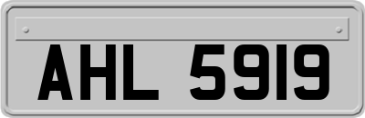 AHL5919