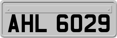 AHL6029