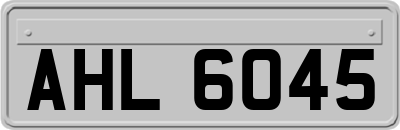 AHL6045