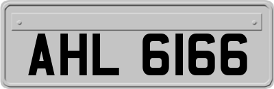 AHL6166