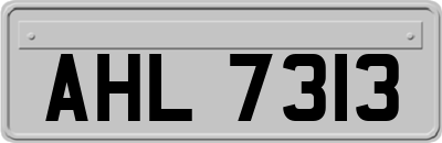 AHL7313