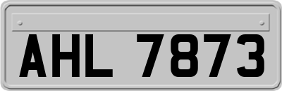 AHL7873