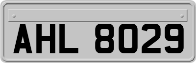 AHL8029