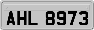 AHL8973