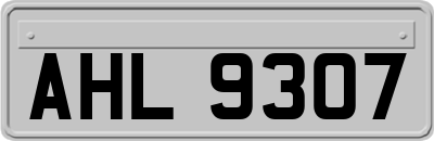 AHL9307