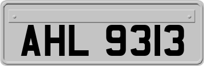 AHL9313
