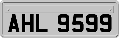AHL9599