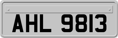 AHL9813