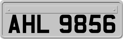 AHL9856