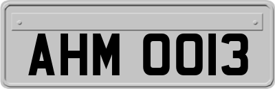 AHM0013