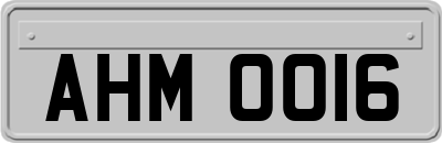 AHM0016