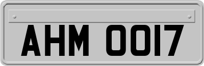 AHM0017