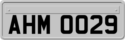 AHM0029