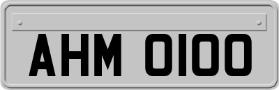AHM0100
