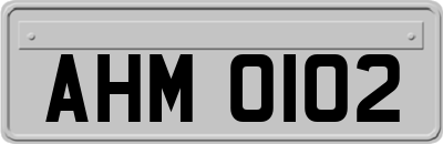 AHM0102