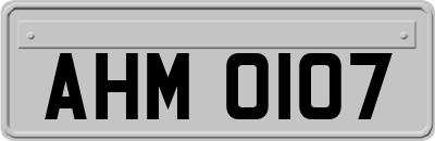 AHM0107