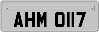 AHM0117