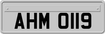 AHM0119