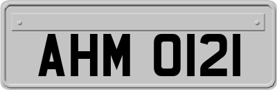 AHM0121