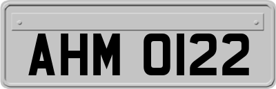 AHM0122