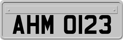 AHM0123