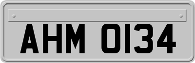 AHM0134