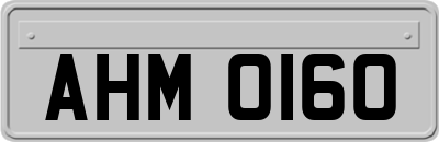 AHM0160
