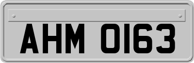 AHM0163