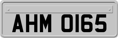 AHM0165