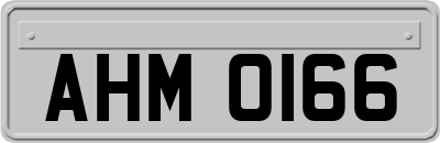 AHM0166