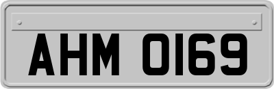 AHM0169
