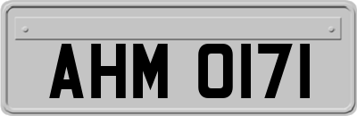 AHM0171