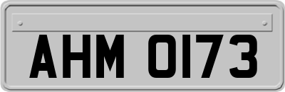 AHM0173