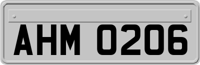 AHM0206