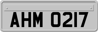 AHM0217