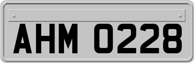 AHM0228
