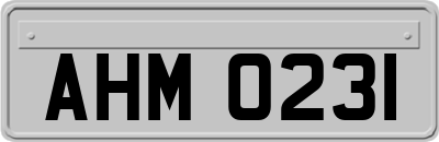 AHM0231