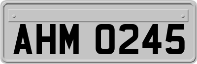 AHM0245