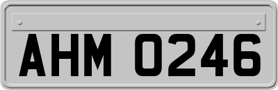 AHM0246