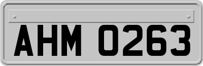 AHM0263