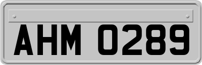 AHM0289
