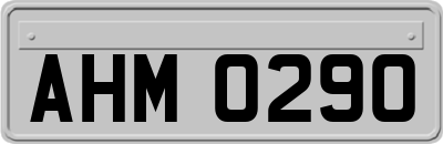 AHM0290