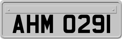 AHM0291