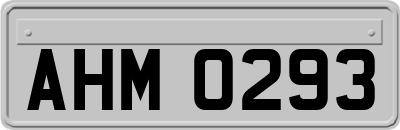 AHM0293